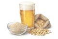 Дрожжи для пива