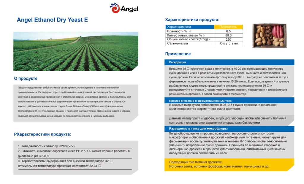 Angel alcohol active dry yeast (Ethanol E)