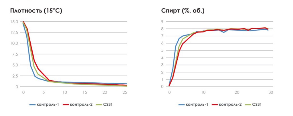 график брожения CS31