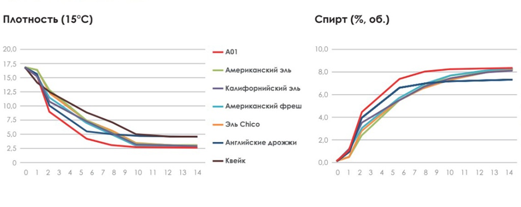 график брожения A01
